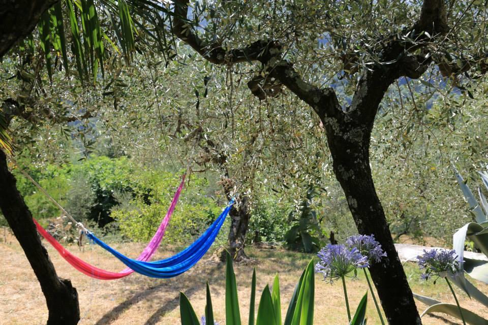Bed & Breakfast La Fattoria Di Nonna Eugenia Lerici